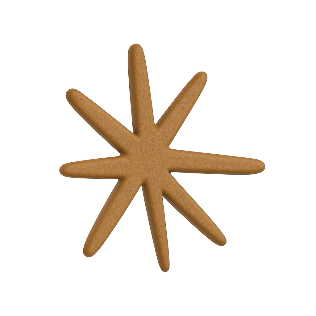 A heading image of a spark that takes you back home.