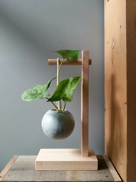 A plant holder